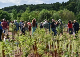 NT Brockhampton Orchards